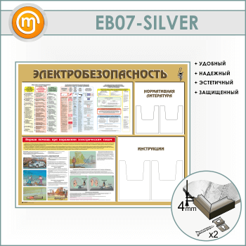 ����� ��������������������� � 4 ��������� ��������� (EB-07-SILVER)